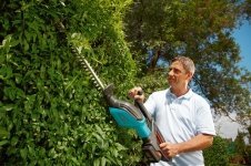 Summer Gardening - Trimming and Pruning Hedges