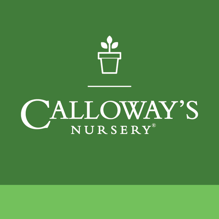 Calloway's Nursery opens new location in central Texas (Gardening)