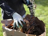 Make Your Own Compost