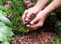 Summer Gardening - Mulching Basics