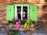 No garden? Have a window planter for your veg!