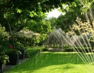 Summer Gardening - Watering Your Garden