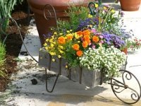 Creative Container Gardens