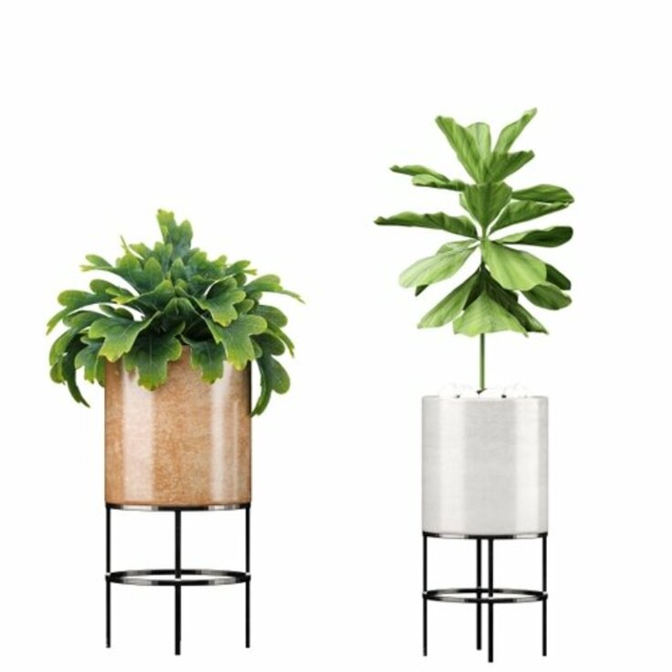 Choosing the Perfect Indoor Plant Pot: From Classic Terracotta to Modern Designs