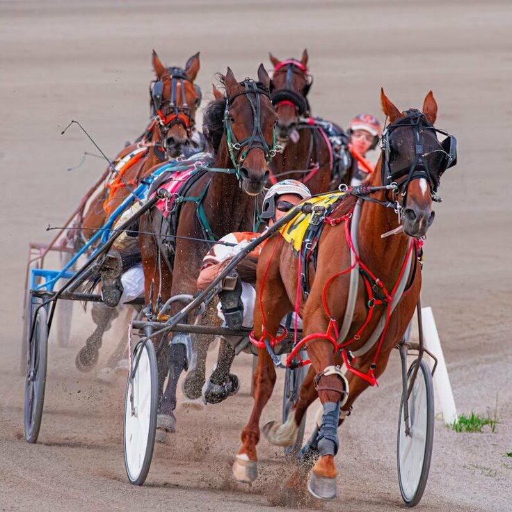 How Families Visit Racetrack Together in Cities with Equine Tradition