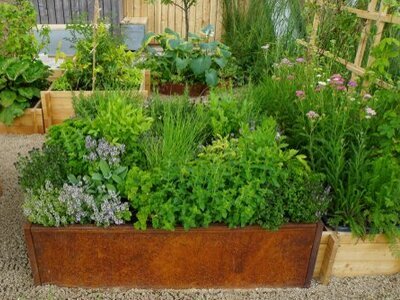 Start a Home Herb Garden (Grow Your Own Food)