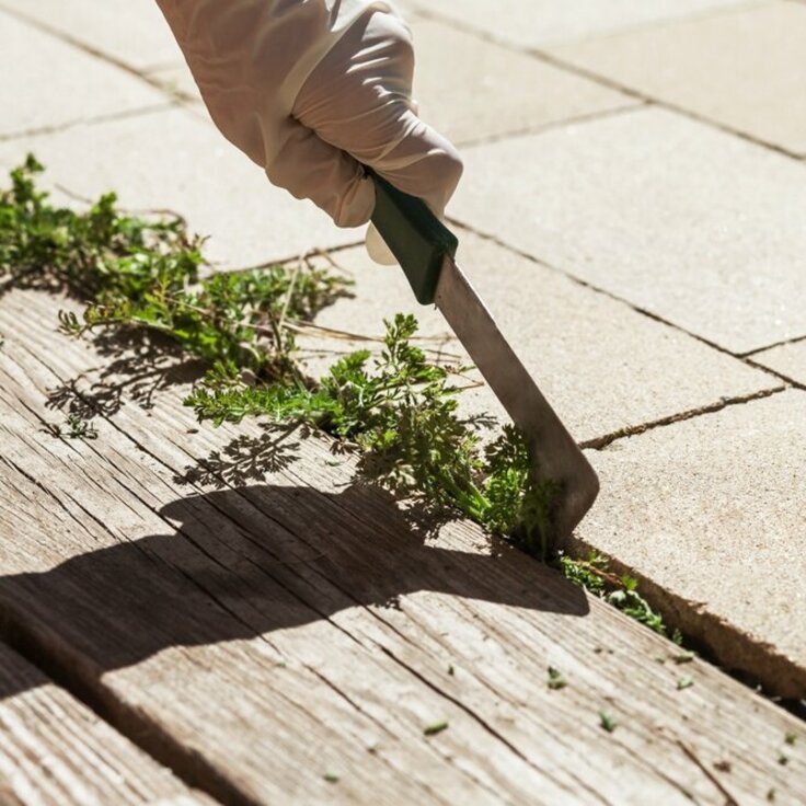 Effective methods for weed removal (Gardening)