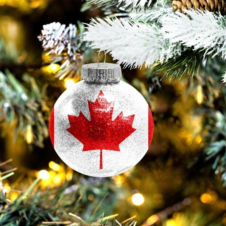 Your Ultimate Guide to Finding the Perfect Christmas Tree in Canada (Christmas)