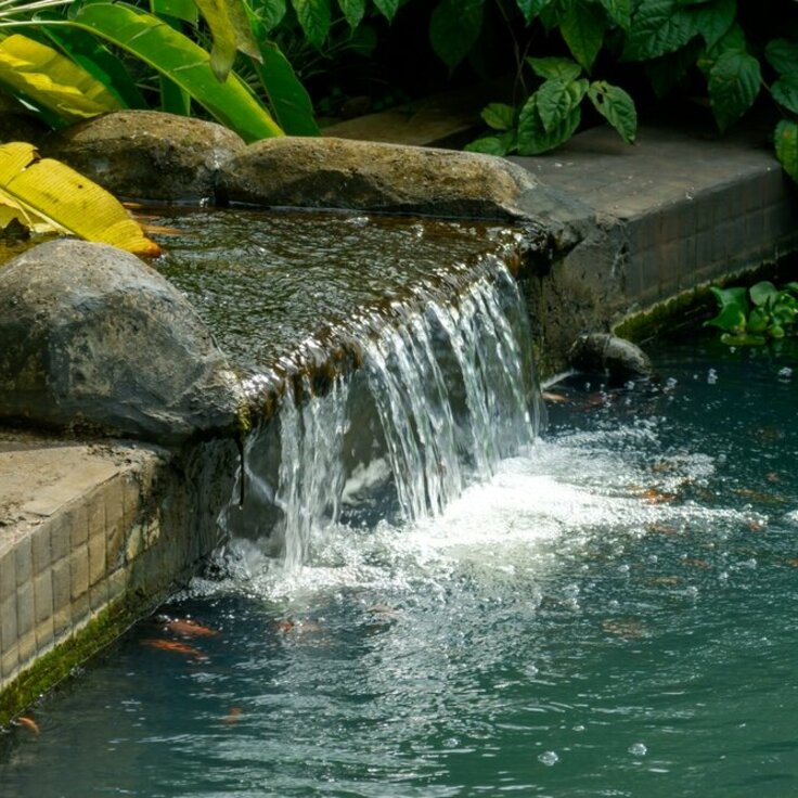 Water in the Garden