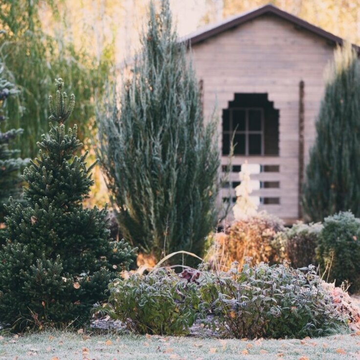 Creating a Stunning Winter Garden: February Planting Guide (Gardening)