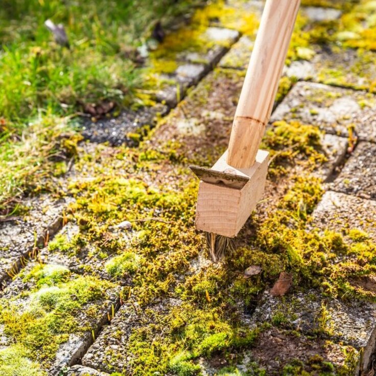 4 easy steps to remove algae from the patio slabs in your home (Gardening Tips)