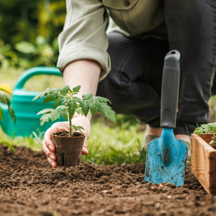 Preparing for a Blossoming Spring: What to Do in January