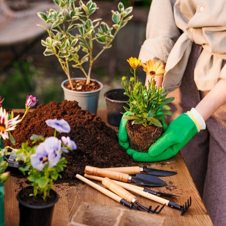 Top 7 Essential Tools for a Thriving Kitchen Garden (Garden Tools)