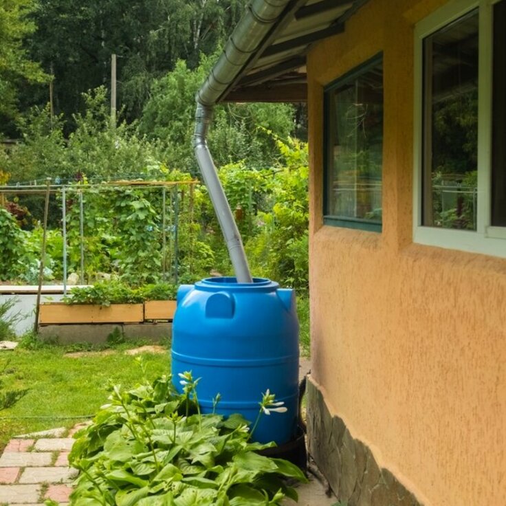 Tips for a Sustainable Summer Garden (Gardening Tips)