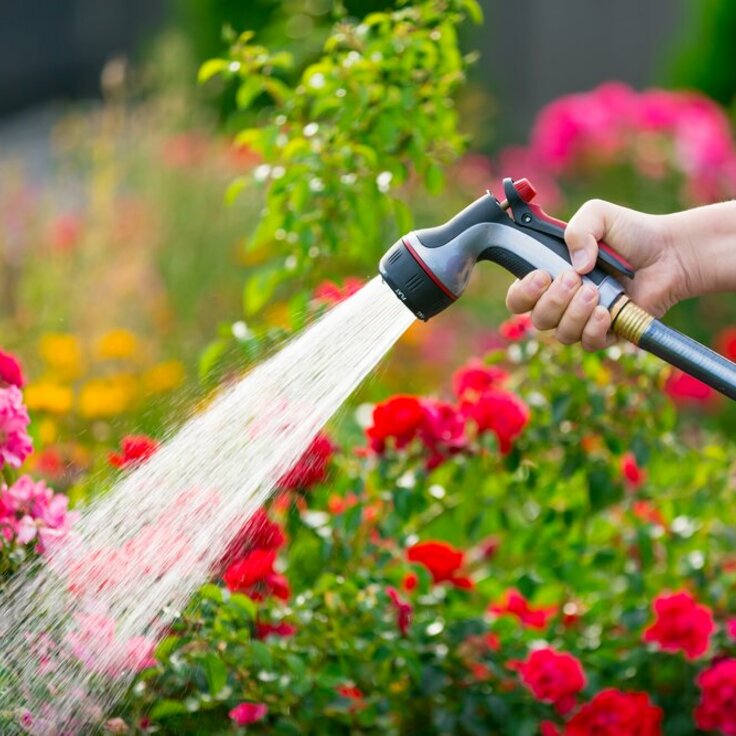 Watering Tips for Summer