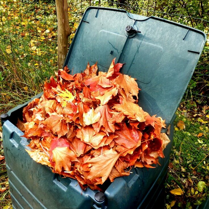 Harvesting Autumn’s Bounty: A Simple Guide to Composting in Fall (Gardening)